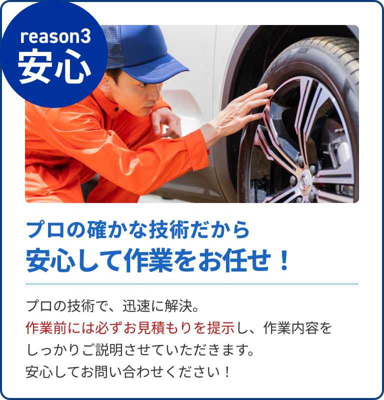 reason 03